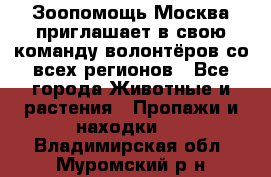 Зоопомощь.Москва приглашает в свою команду волонтёров со всех регионов - Все города Животные и растения » Пропажи и находки   . Владимирская обл.,Муромский р-н